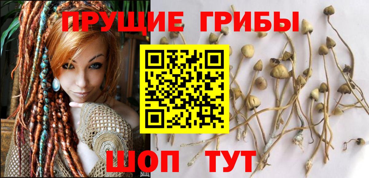Галлюциногенные грибы MAGIC MUSHROOMS Березники
