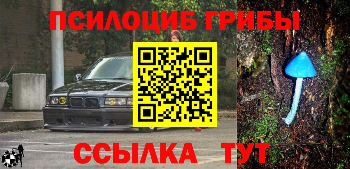 Галлюциногенные грибы Cubensis  Вход с VPN  Березники  Галлюциногенные грибы прущие грибы 